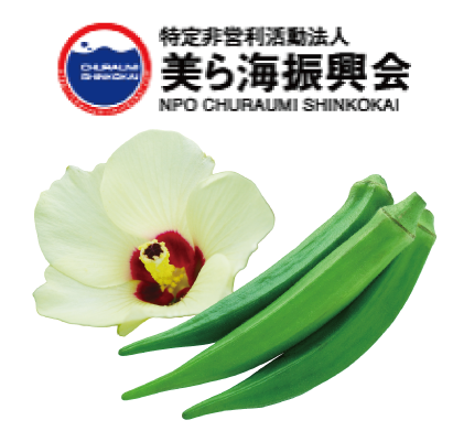 特長3
